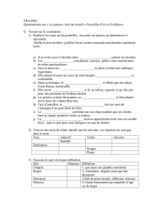 FRA-4062 Questionnaire sur « La parure», tirée du recueil