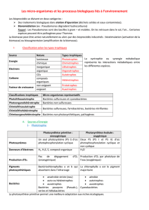 Télécharger - Annales partiels ENSTBB