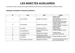 Quelques exemples d`insectes auxiliaires