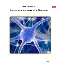 Notes de cours