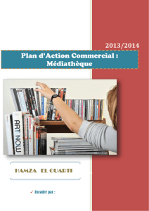 Plan d*Action Commercial