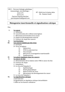 6 - AMPCfusion