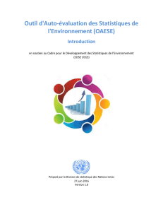 Outil d`Auto-évaluation des Statistiques de l`Environnement (OAESE)
