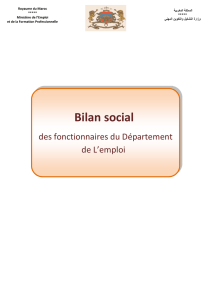 bilan social-fr - Ministère de l`Emploi et des Affaires Sociales