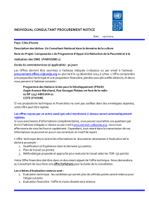 individual consultant procurement notice