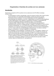 Organisation et fonctions du système nerveux autonome Introduction