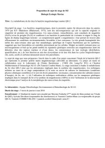 sujet 2015-07 - Institut Méditerranéen d`Océanologie