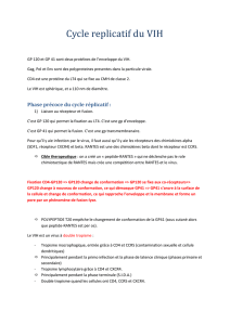 2008-10-13 roneo 2 cycle du VIH (fiche compléte