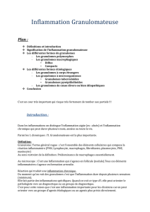 Introduction - carabinsnicois.fr