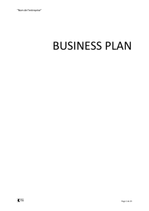 Modèle de business plan - DOC