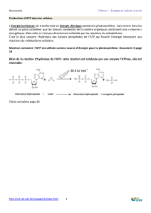 15-spe-production ATP
