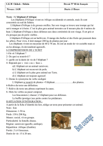 1 Heure Niveau : 1AM Texte / L`éléphant d`Afrique