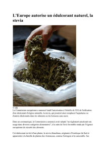L`Europe autorise un édulcorant naturel, la stevia