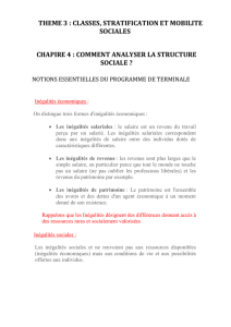 Structure sociale- Estelle/Hélène 2014-15 (Blaise - socio