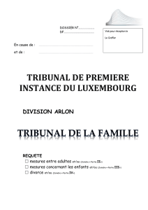 TRIBUNAL DE PREMIERE INSTANCE DU Luxembourg