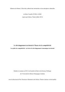 Le développement territorial à l`heure de la compétitivité