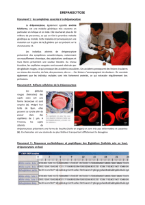 Document 6 : Dépistage de la drépanocytose
