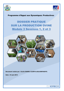 Dossier pratique sur la production de petits ruminants