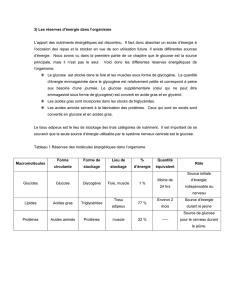 Cours 2 – La régulation