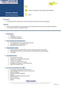 Fiche programme - businessdecision