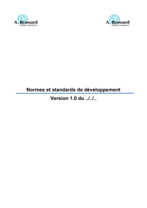 Document – Normes et standards de développement