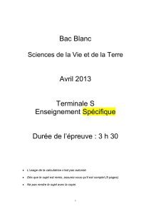 Bac Blanc - lewebpedagogique.com