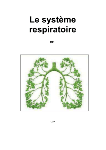 Le système respiratoire DF I