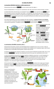 Les types de plante (pages 1 et 2)