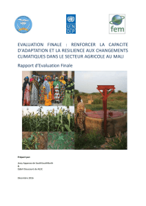 UNDP_Rapport d`evaluation finale Secteur Agricole_30 de´c2016