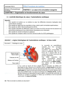 Activité 1 : origine histologique de l`automatisme cardiaque