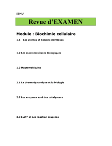 SBI4U Revue d`EXAMEN Module : Biochimie cellulaire