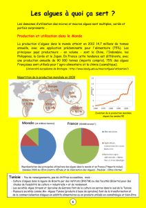 Les algues à quoi ça sert