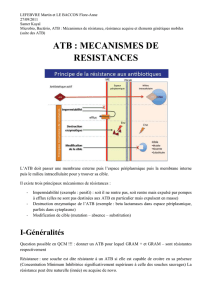 atb : mecanismes de resistances