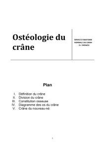 polycopie-medecine-osteologie-du-crane
