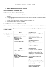 Bilan de la séance du 15 février (M. Rajade/P.Ducamp) Thème les