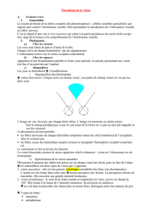 Physiologie de la vision