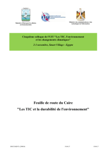 Les TIC et la durabilité de l`environnement