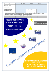 Rapport type d`instruction - Europe en Nord