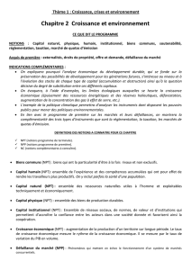 Thème 1 : Croissance, crises et environnement