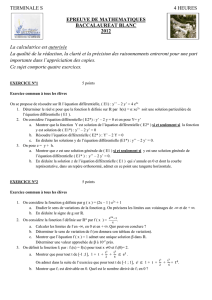 bac-blanc-S-11-12 - Mathématiques au lycée Bellepierre