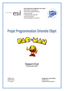 Rapport du projet Pac-Man