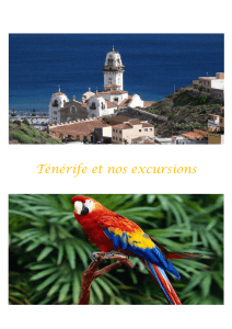 Ténérife et nos excursions Tenerife à la Carte Découvrez les points