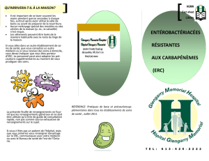 Entérobactériacée résistantes aux carbapénèmes (ERC)