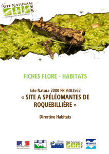 4-Fiches flore_habitats.compressed - format : PDF