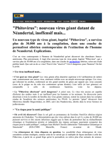 "Phitovirus": nouveau virus géant datant de Néandertal