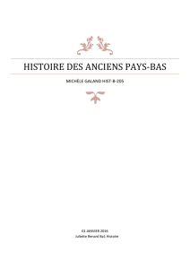 HISTOIRE DES ANCIENS PAYS-BAS