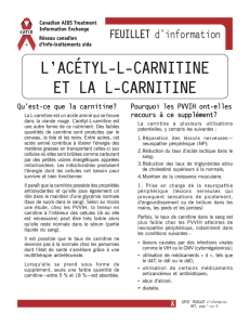 l`acétyl-l-carnitine et la l-carnitine
