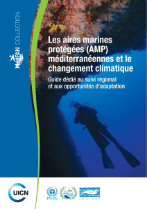 Les aires marines protégées (AMP) méditerranéennes et