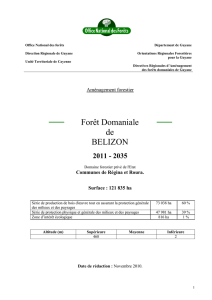 L`aménagement de la forêt de Bélizon