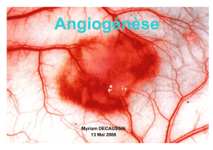 Angiogenese - M. Decaussin